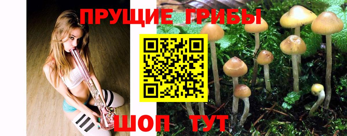 Псилоцибиновые грибы мухоморы Россошь