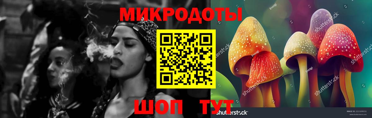 Россошь  Псилоцибиновые грибы Psilocybine cubensis  магазин    Вход с VPN 